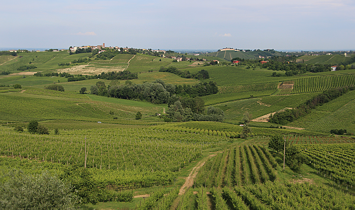 Podere San Martino