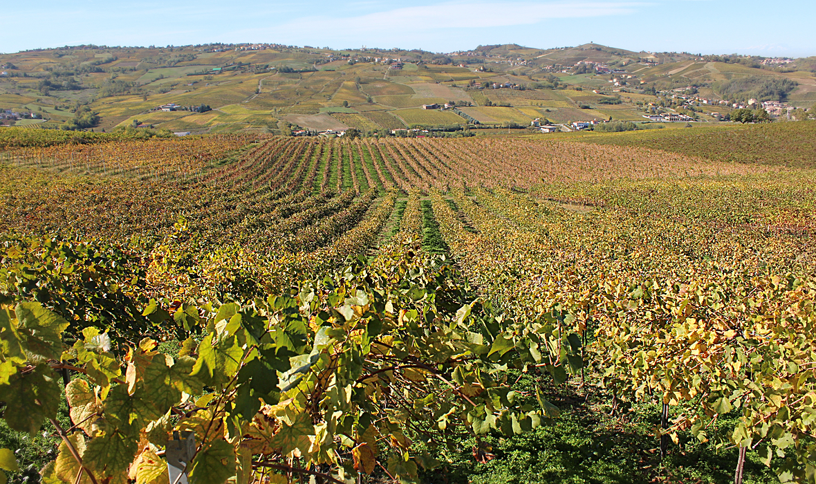 Podere Bergamasco